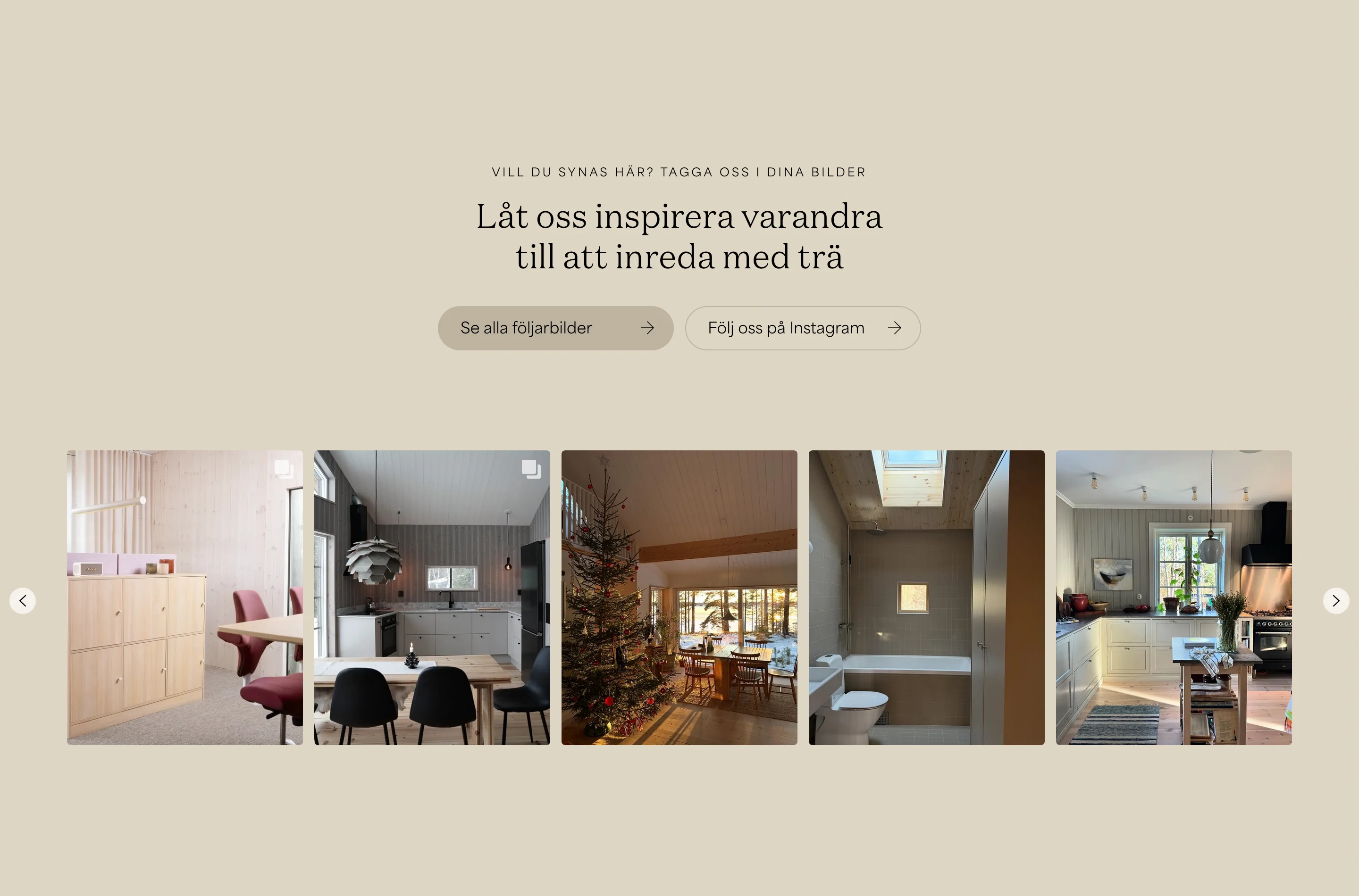 Norrlands Tra Instagram Portfolio Design