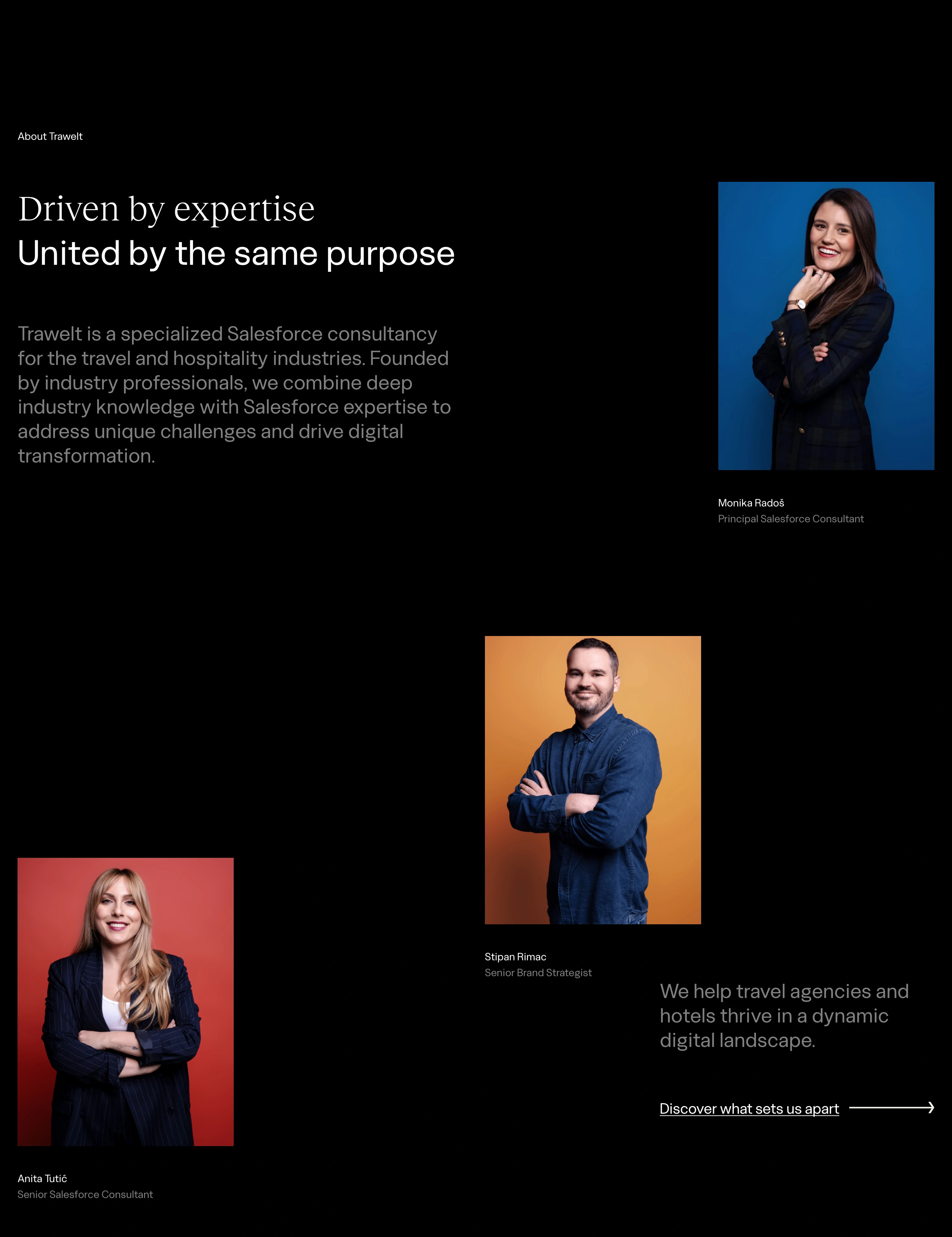 Trawelt Company Team Design