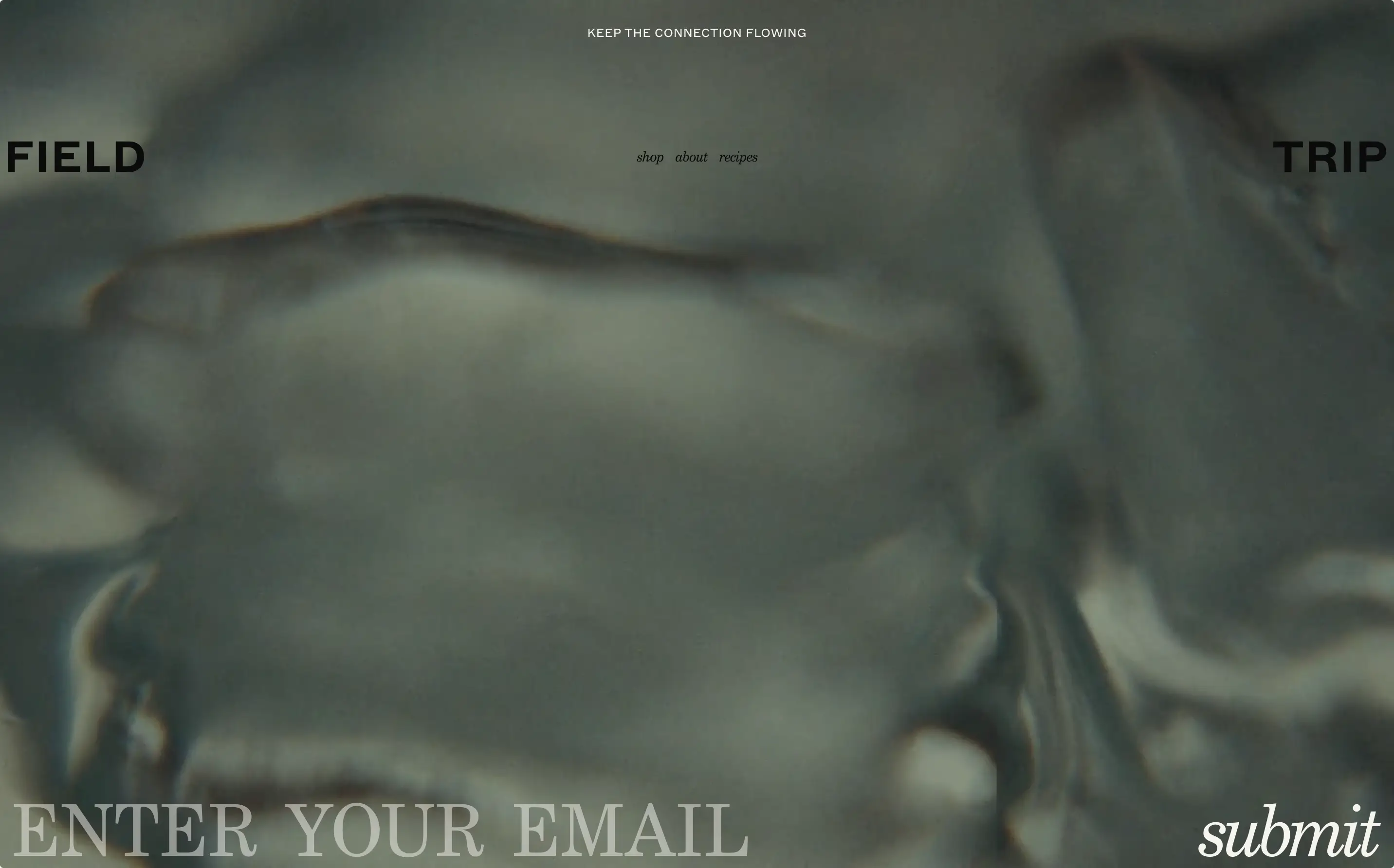 Field Trip Newsletter Footer Design