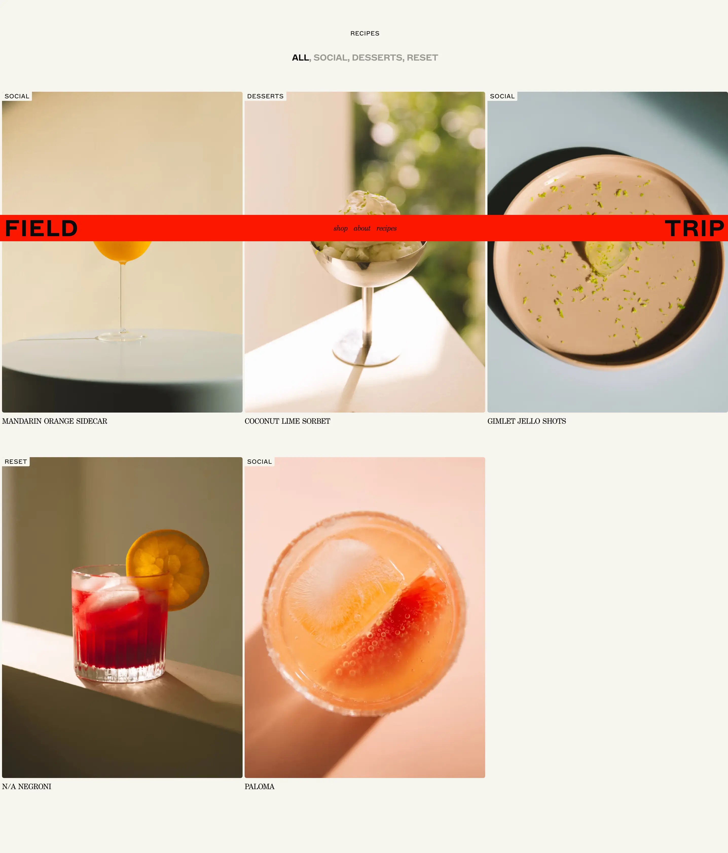 Field Trip Recipe Portfolio Design