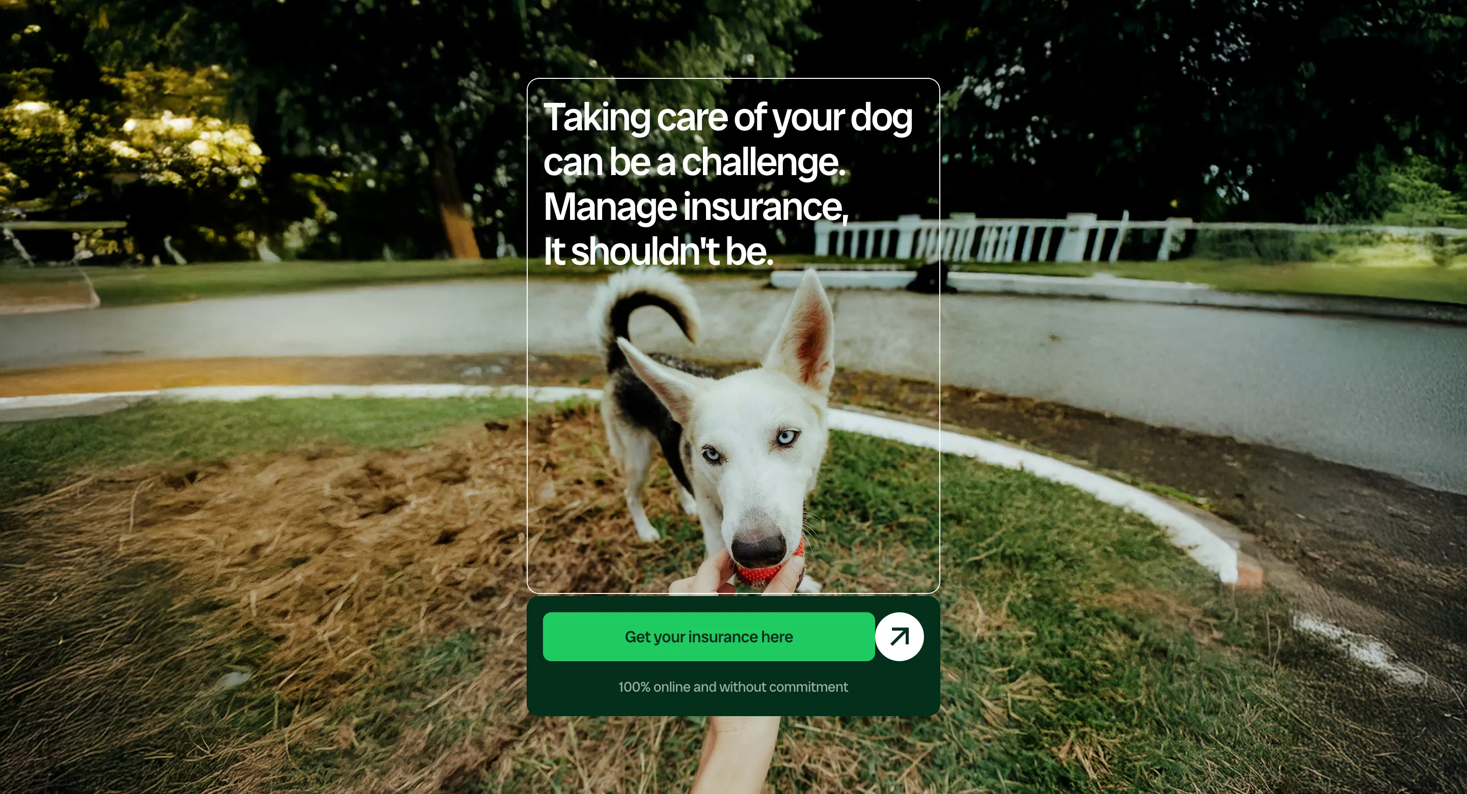 Milo Pet Insurance Value Proposition Design
