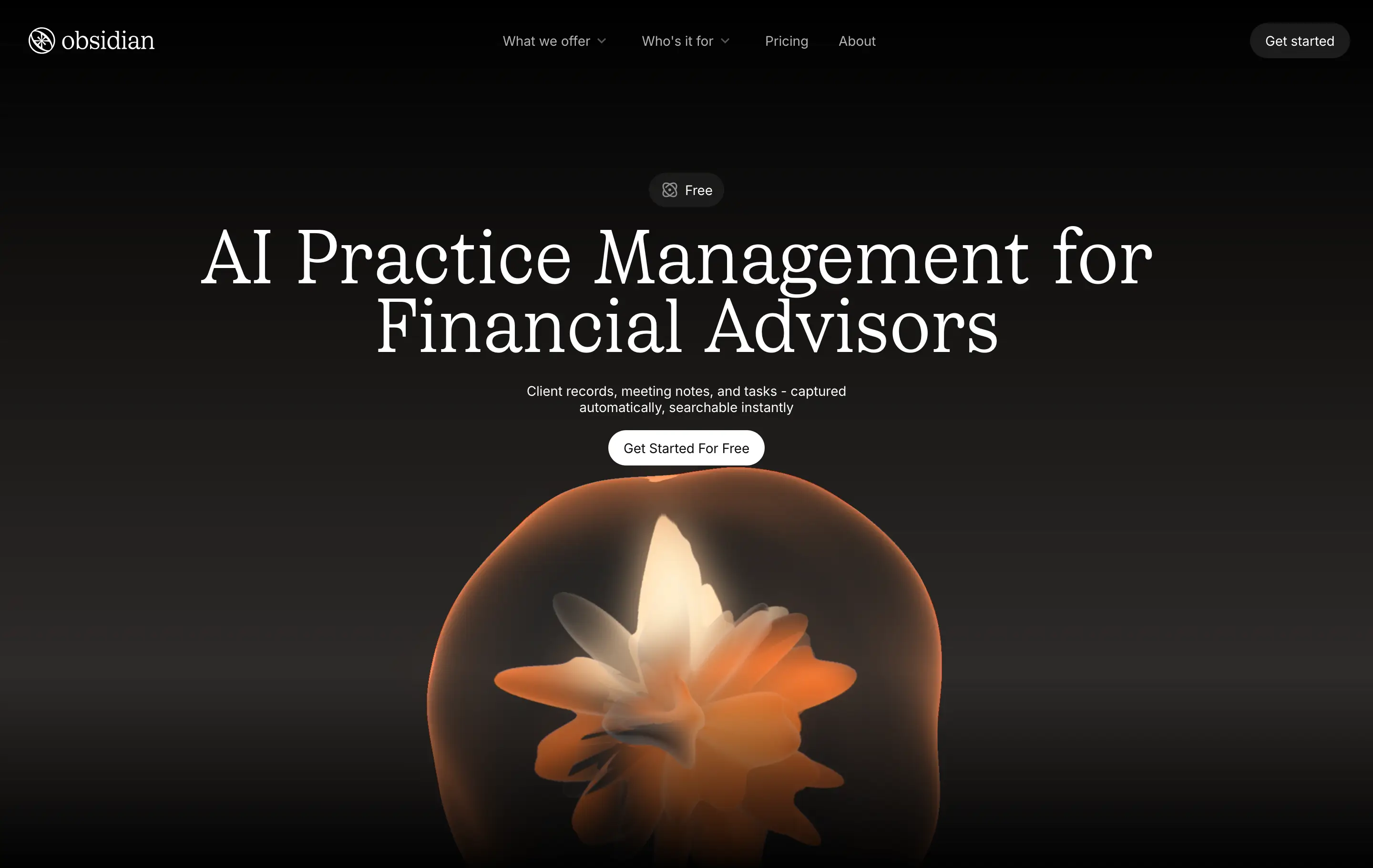 Obsidian Financial Practice Hero Design